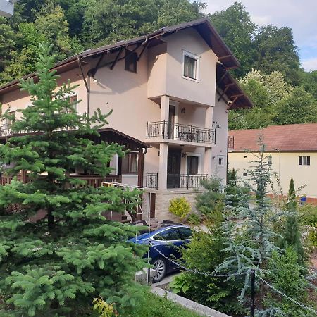 Vila Tisa Тисмана Экстерьер фото