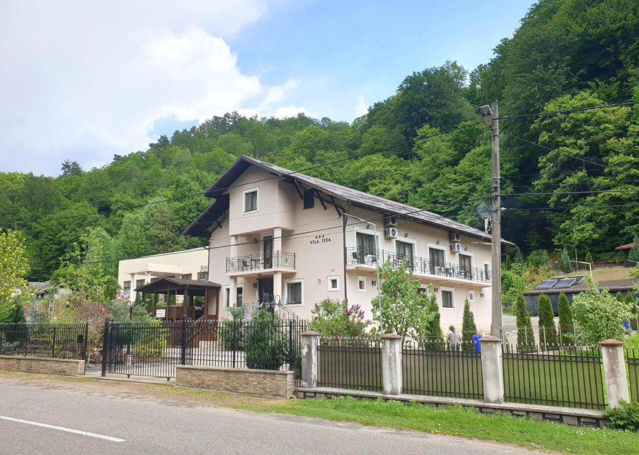 Vila Tisa Тисмана Экстерьер фото
