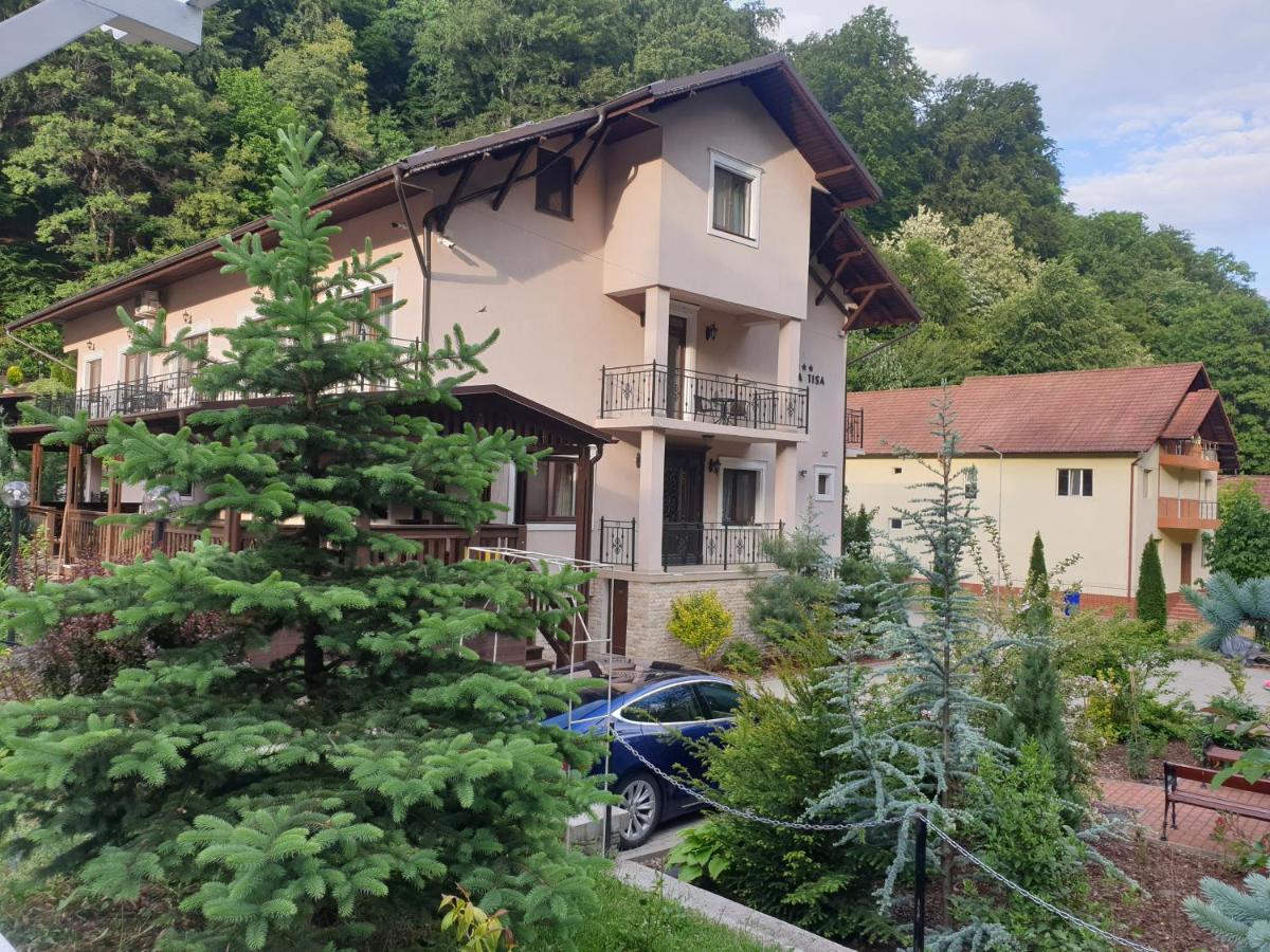 Vila Tisa Тисмана Экстерьер фото