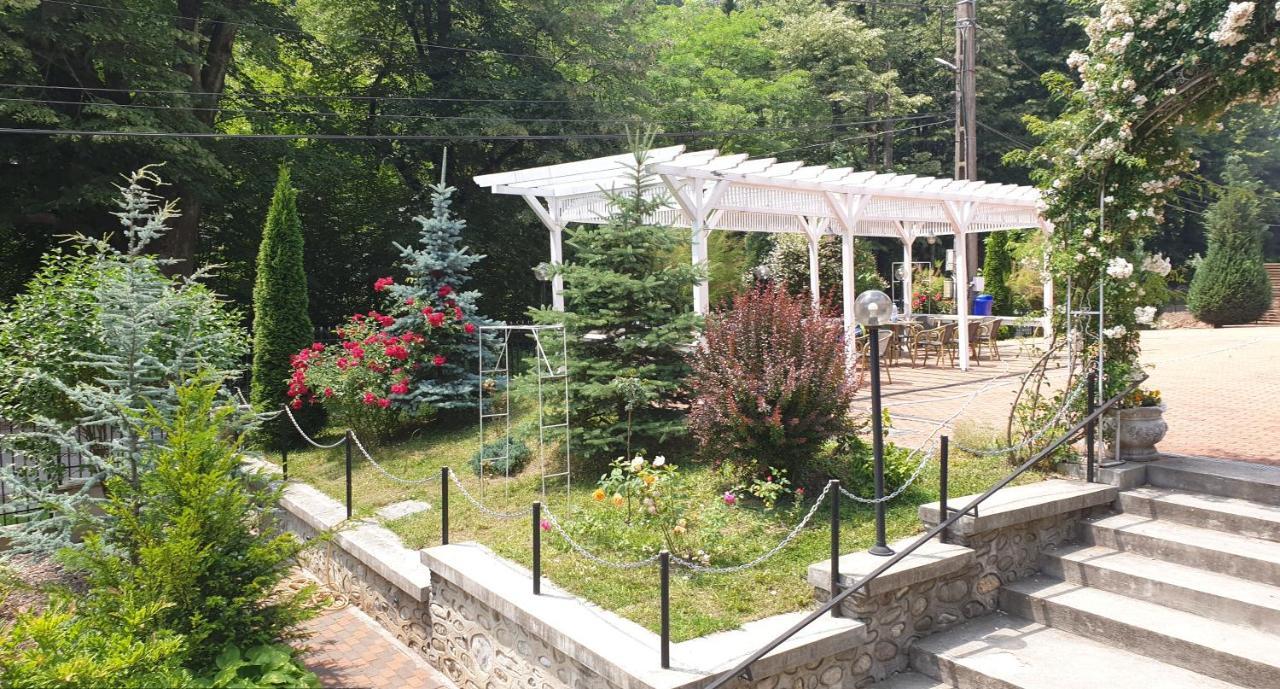 Vila Tisa Тисмана Экстерьер фото